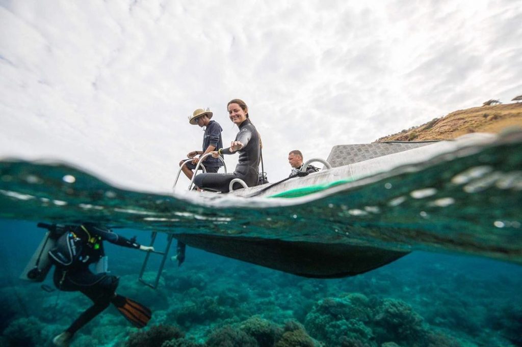 Why Scuba Diving In Komodo National Park Is Beautiful