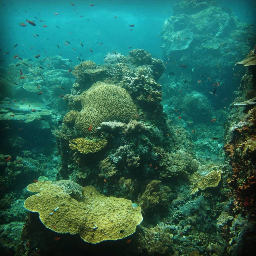 Gili Selang: The Newest Bali Diving Spot