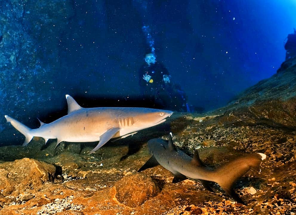 ili Biaha: The Shark Cave